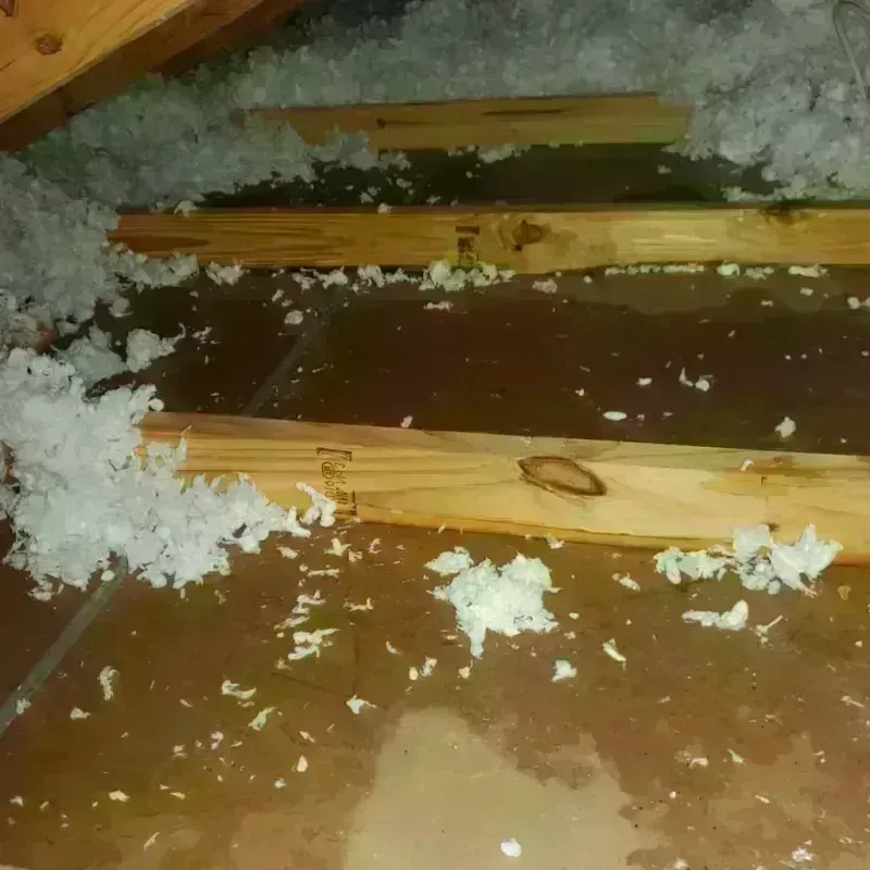 Attic Water Damage in Columbia City, OR